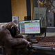Illustration for article titled Researchers Observe Chimpanzees Using Pro Tools